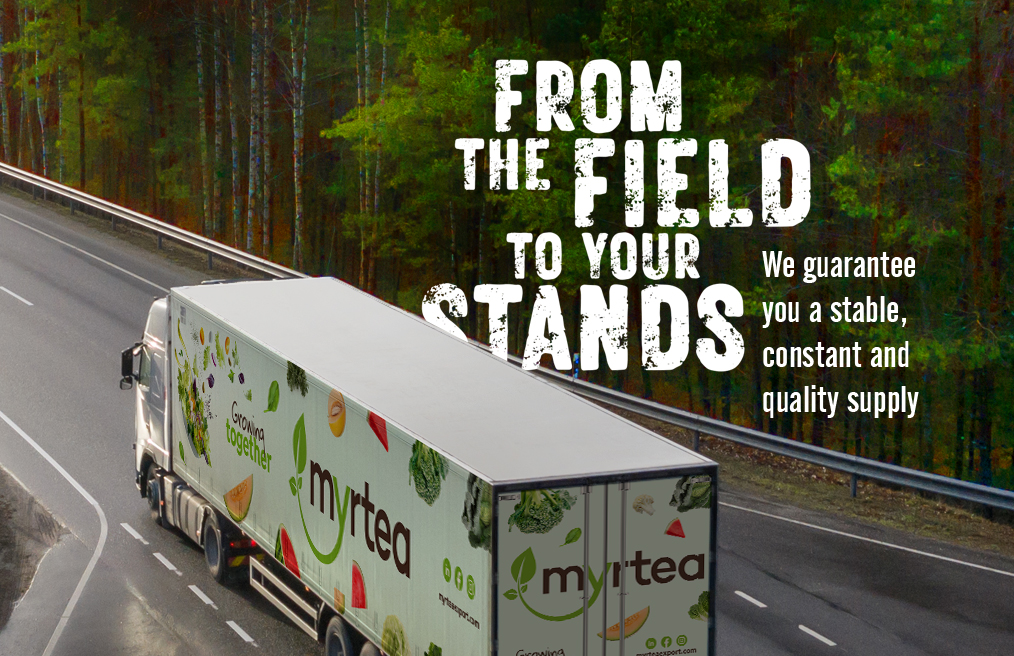 Exportando el mejor producto fresco a cualquier lugar del mundo